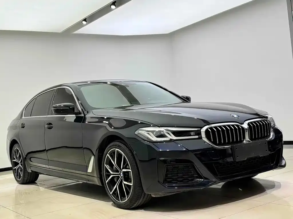 BMW 5 Series 2021 из CN, фото 2
