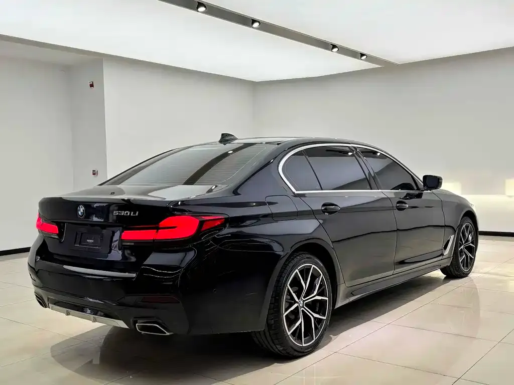BMW 5 Series 2021 из CN, фото 5