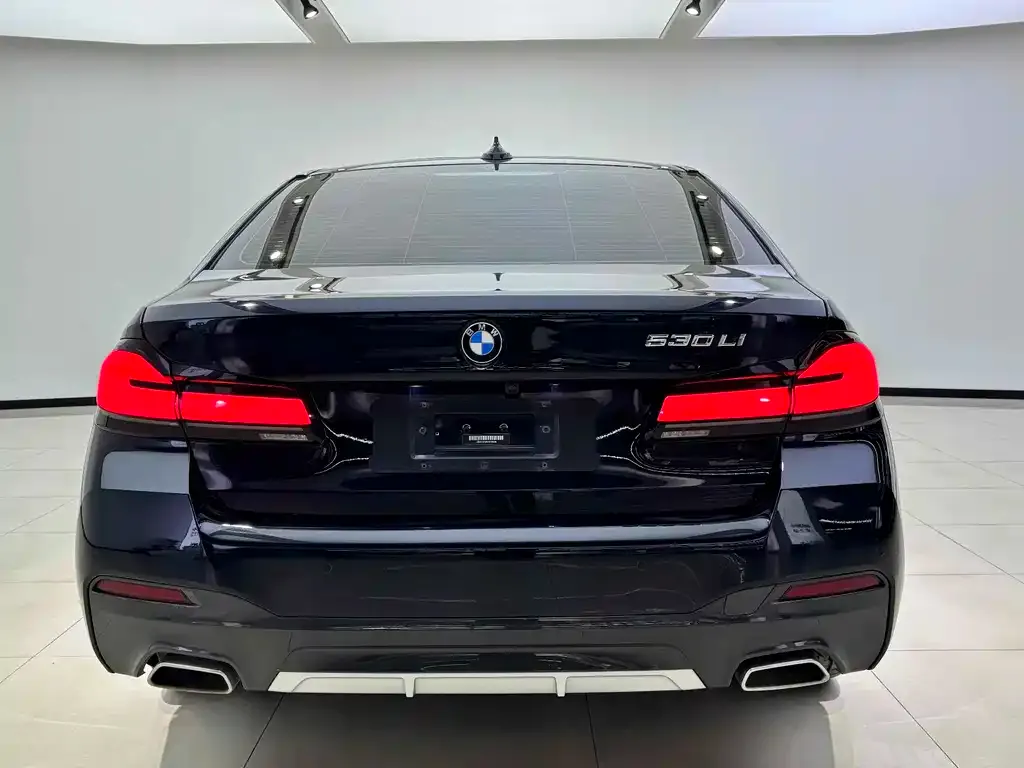 BMW 5 Series 2021 из CN, фото 3
