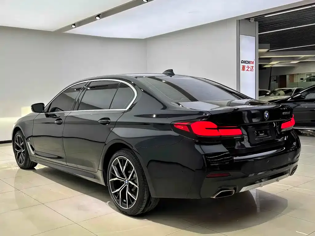 BMW 5 Series 2021 из CN, фото 6