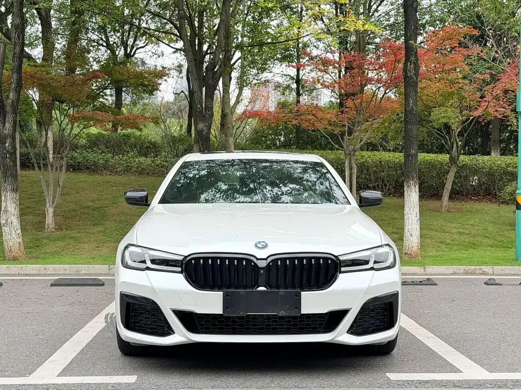 BMW 5 Series — фото 5