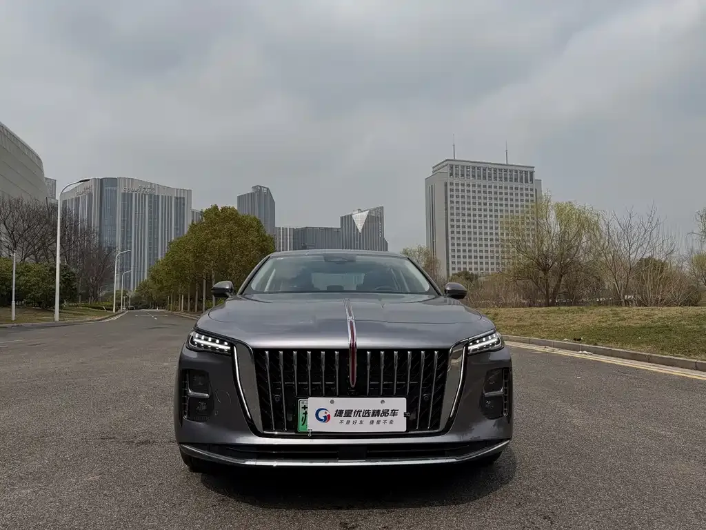 Hongqi H5 PHEV 2025 из CN, фото 4