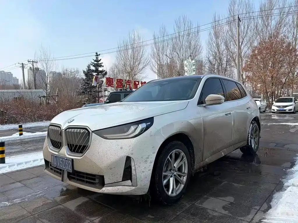 BMW X3 2025 из CN, фото 1