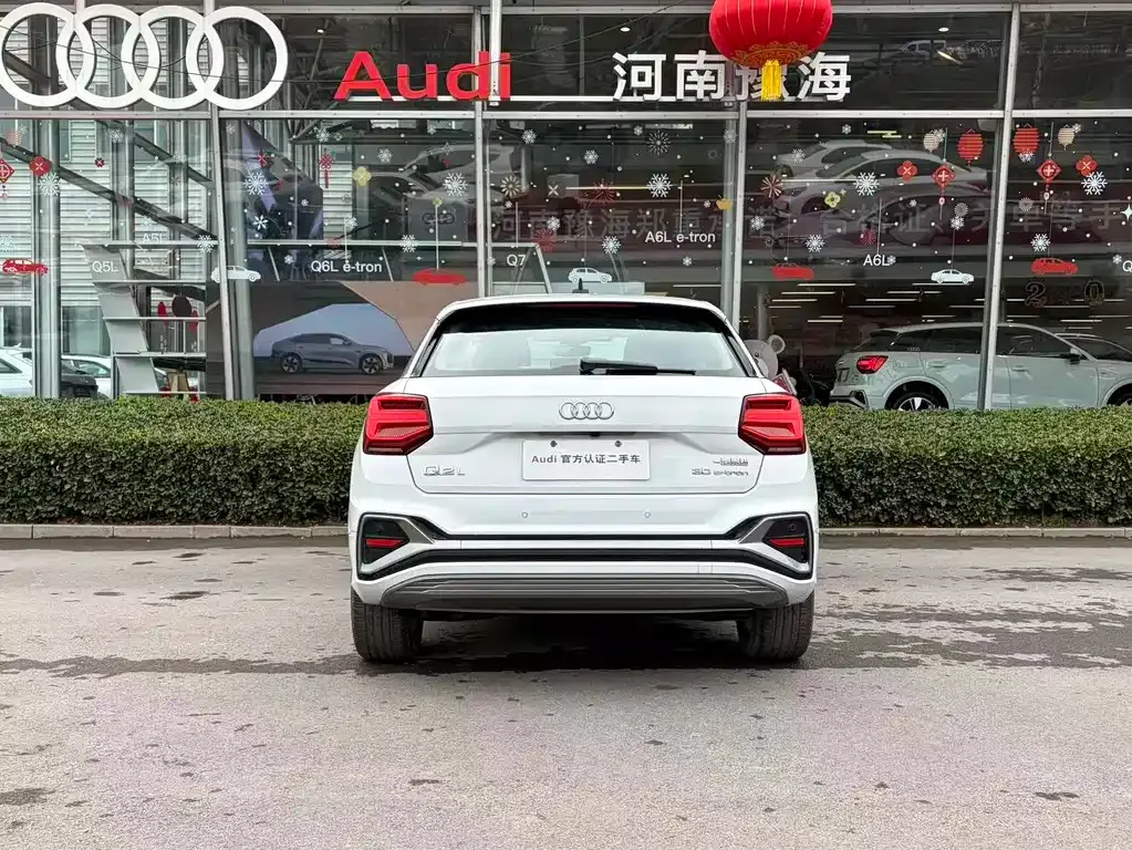 Audi Q2L e-tron 2023 из CN, фото 7