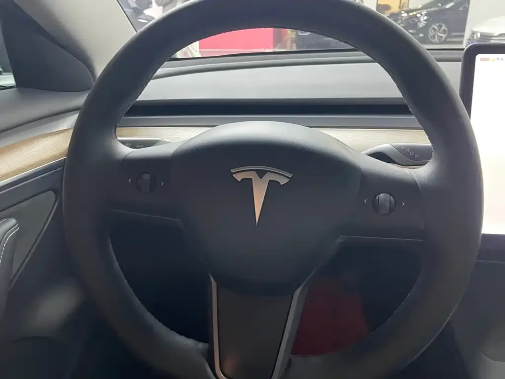 Tesla Model 3 2024 из CN, фото 7