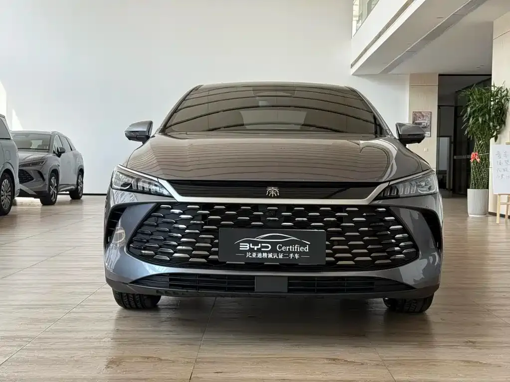 BYD Qin PLUS — фото 3