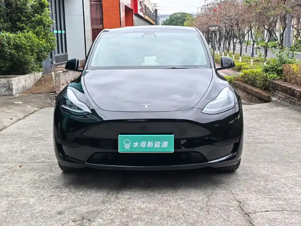 Tesla Model Y — фото 9