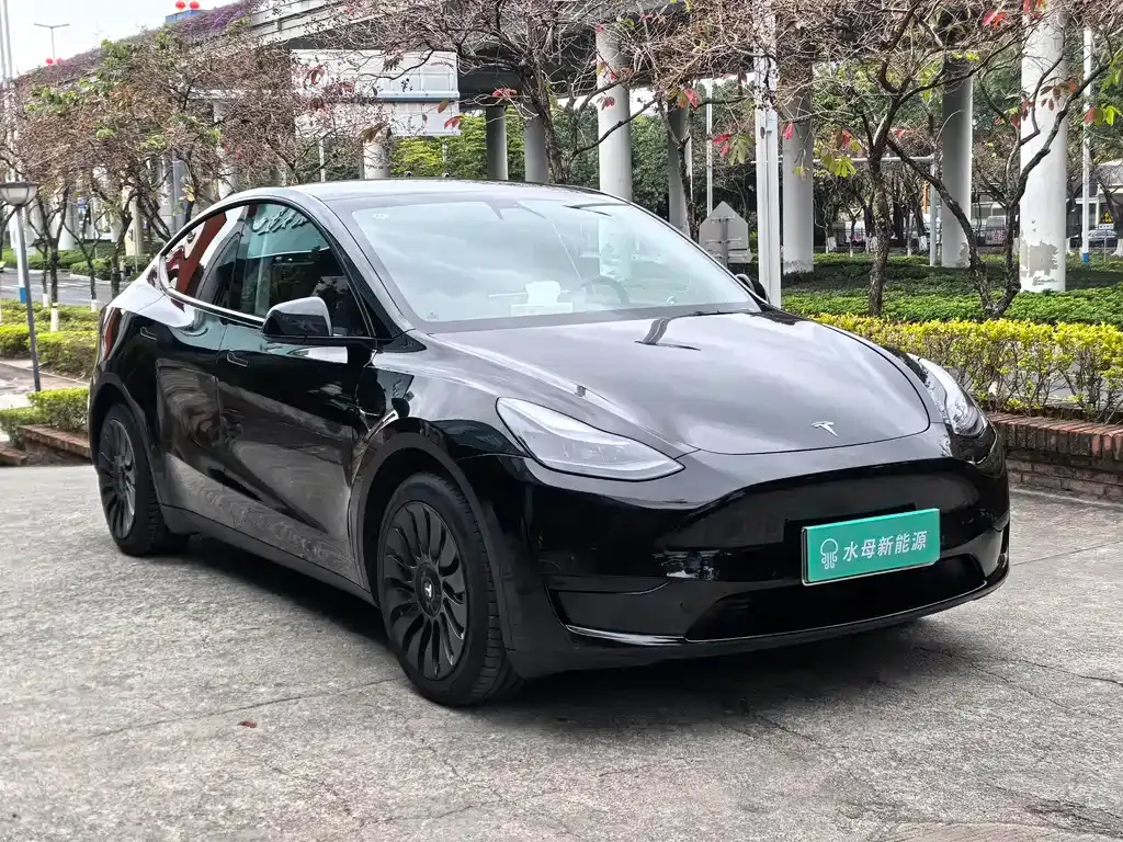 Tesla Model Y — фото 4