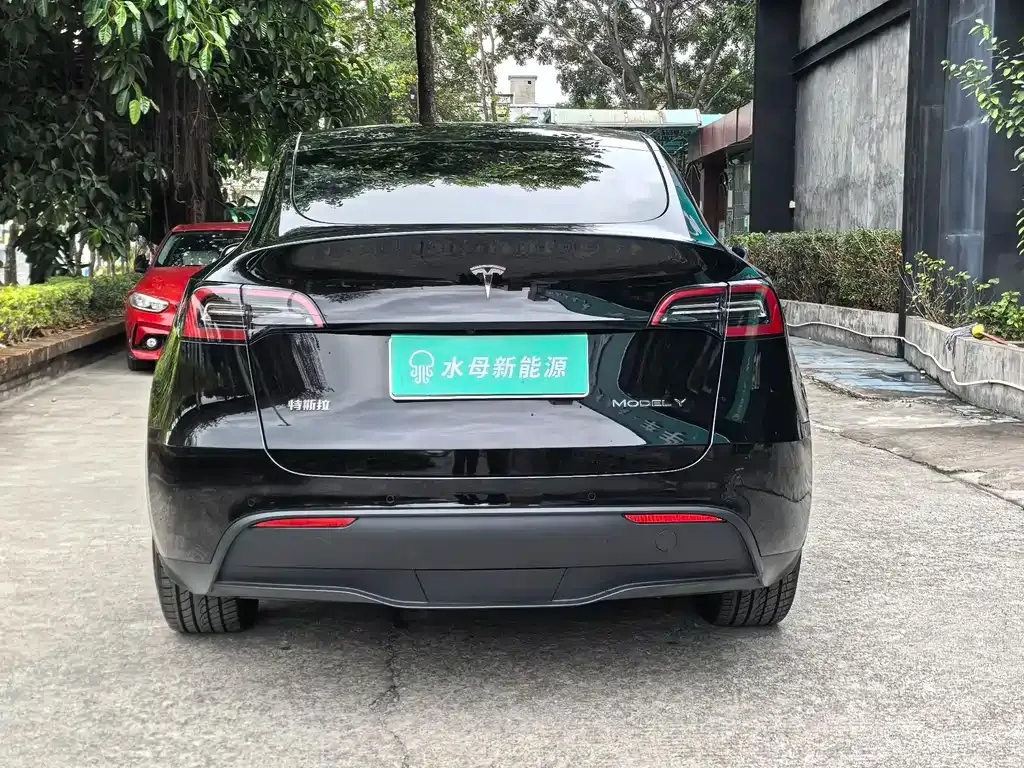 Tesla Model Y — фото 3