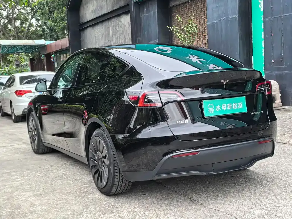 Tesla Model Y — фото 10