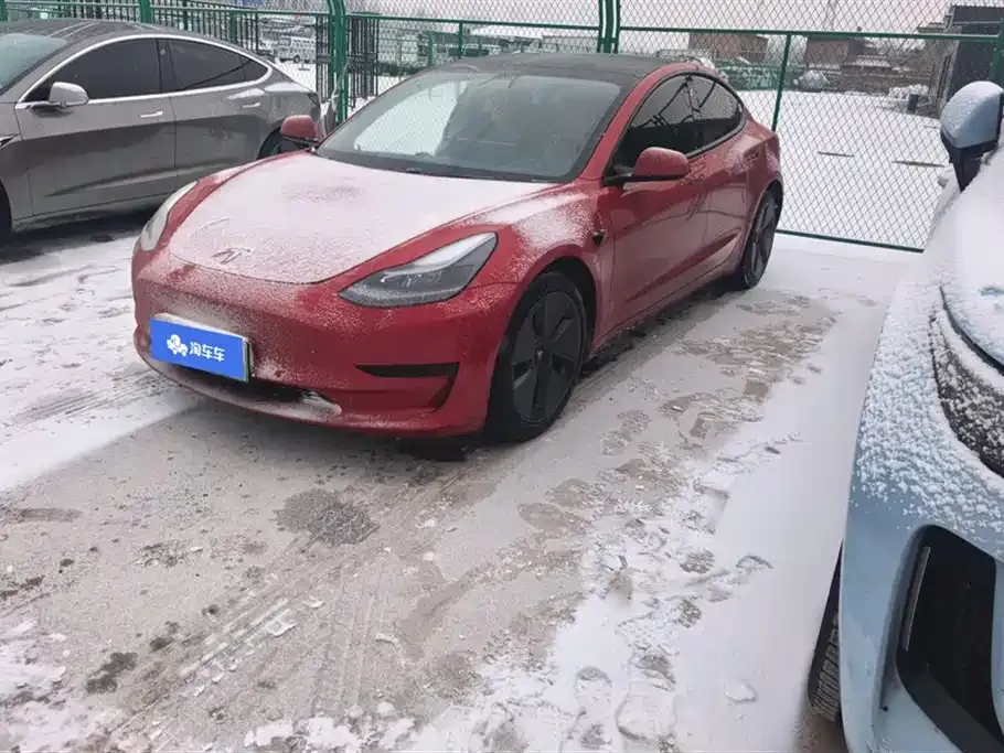 Tesla Model 3 2021 из CN, фото 1