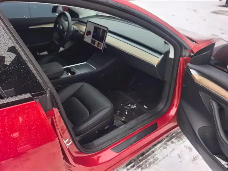 Tesla Model 3 2021 из CN, фото 6