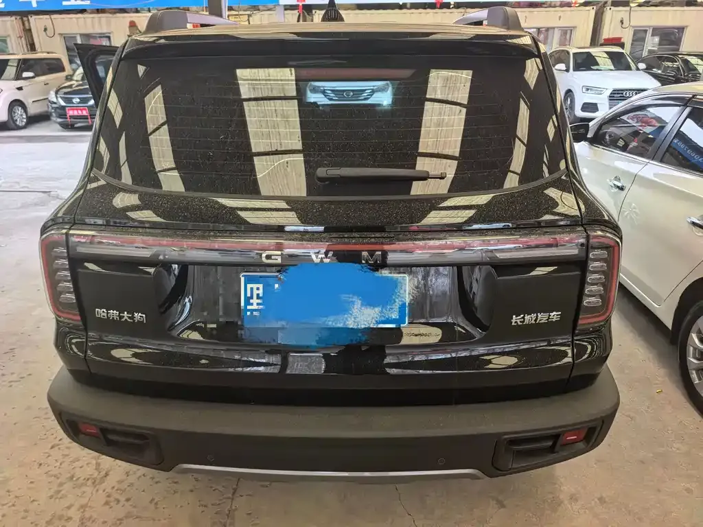 Haval Big Dog — фото 10