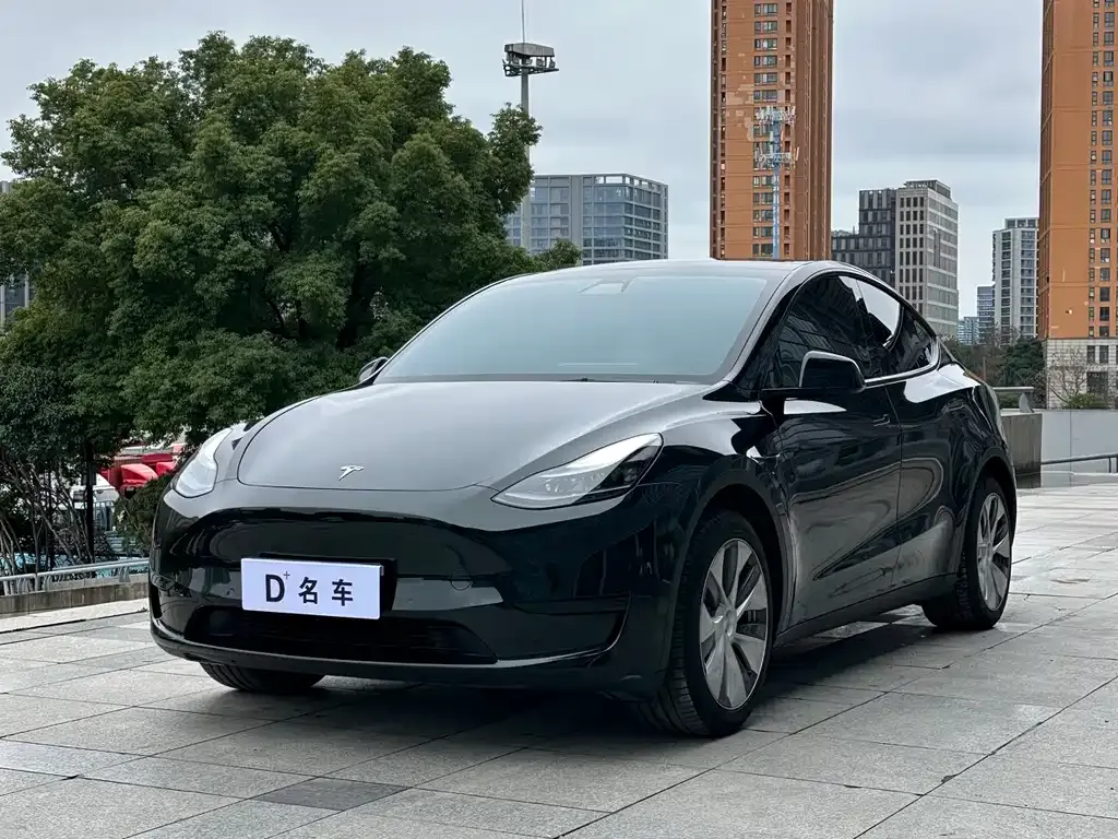 Tesla Model Y — фото 1