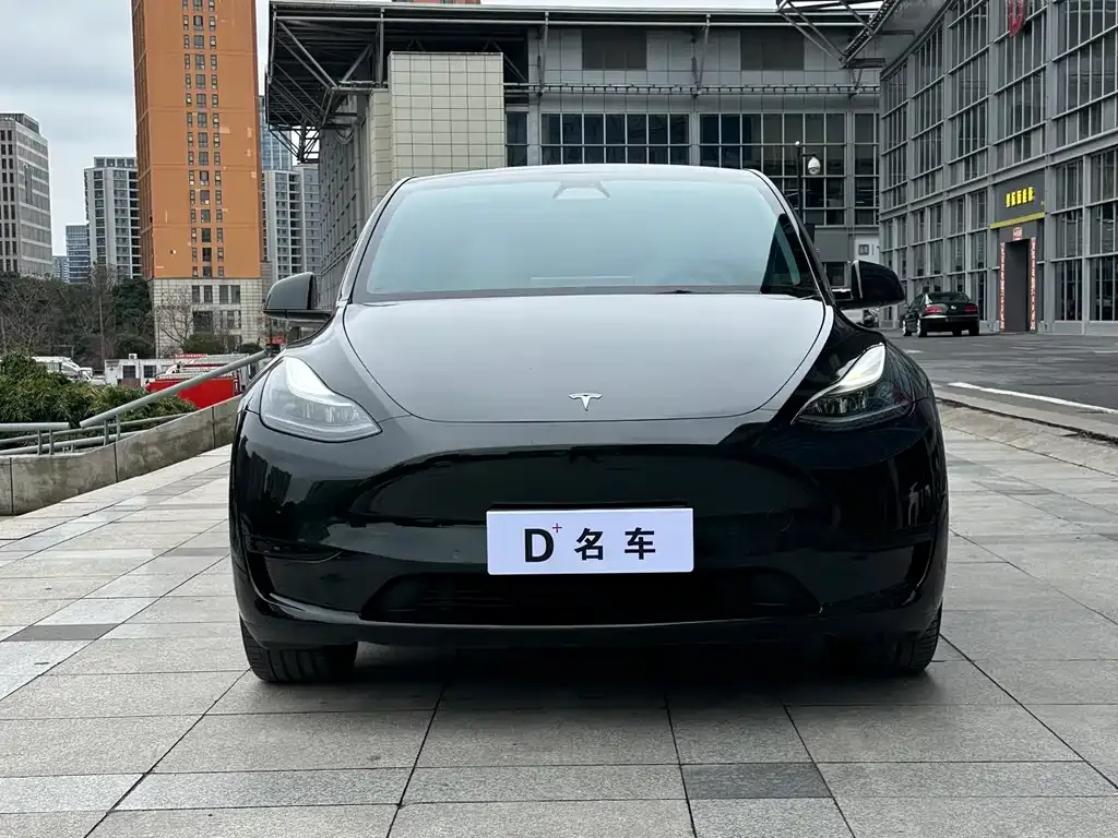 Tesla Model Y — фото 10