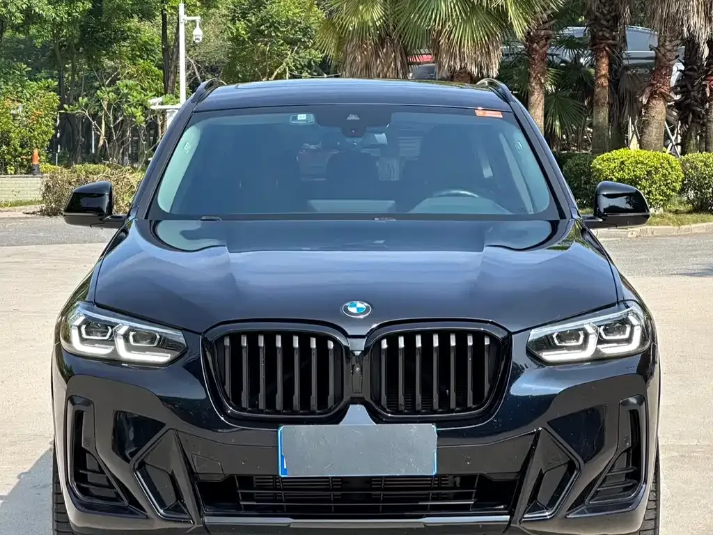 BMW X3 2023 из CN, фото 6