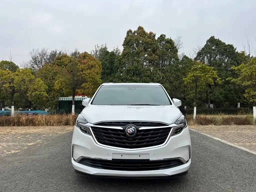 Buick GL8 2023 из CN, фото 10