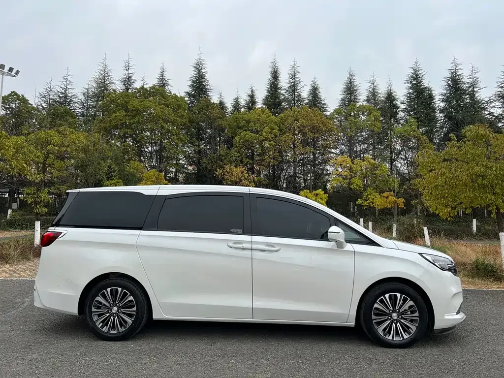 Buick GL8 2023 из CN, фото 5