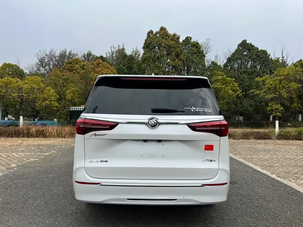 Buick GL8 2023 из CN, фото 7