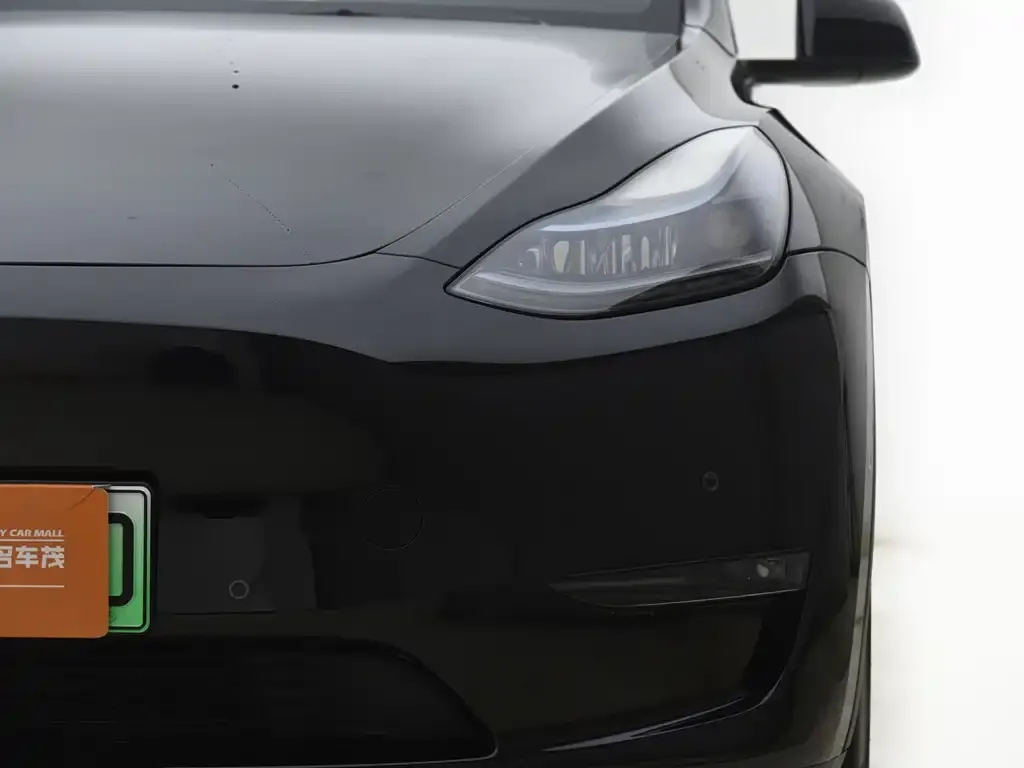 Tesla Model Y 2024 из CN, фото 2