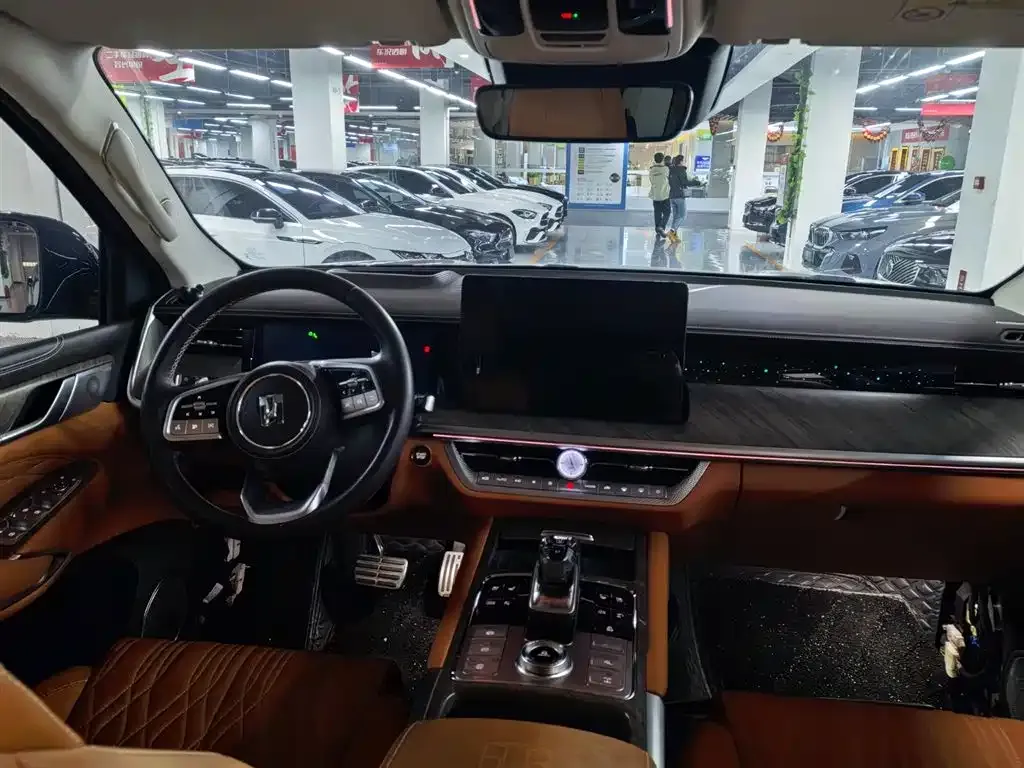 Tank 500 New Energy 2023 из CN, фото 7