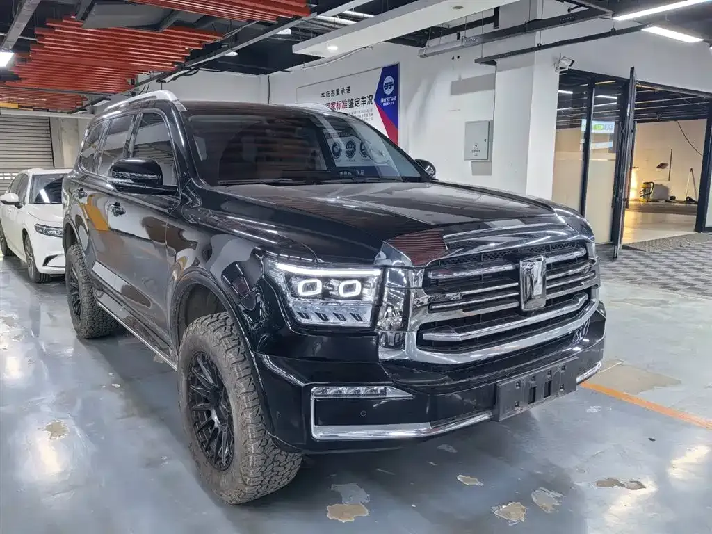 Tank 500 New Energy 2023 из CN, фото 9