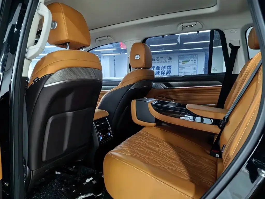 Tank 500 New Energy 2023 из CN, фото 8