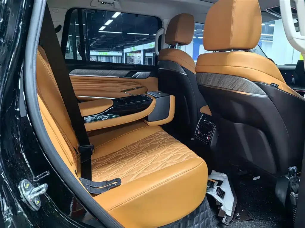 Tank 500 New Energy 2023 из CN, фото 10