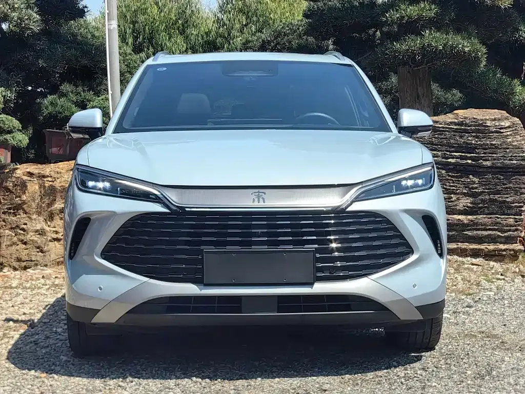 BYD L DM-i — фото 2