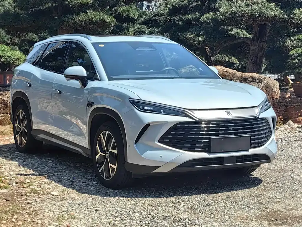BYD L DM-i — фото 3