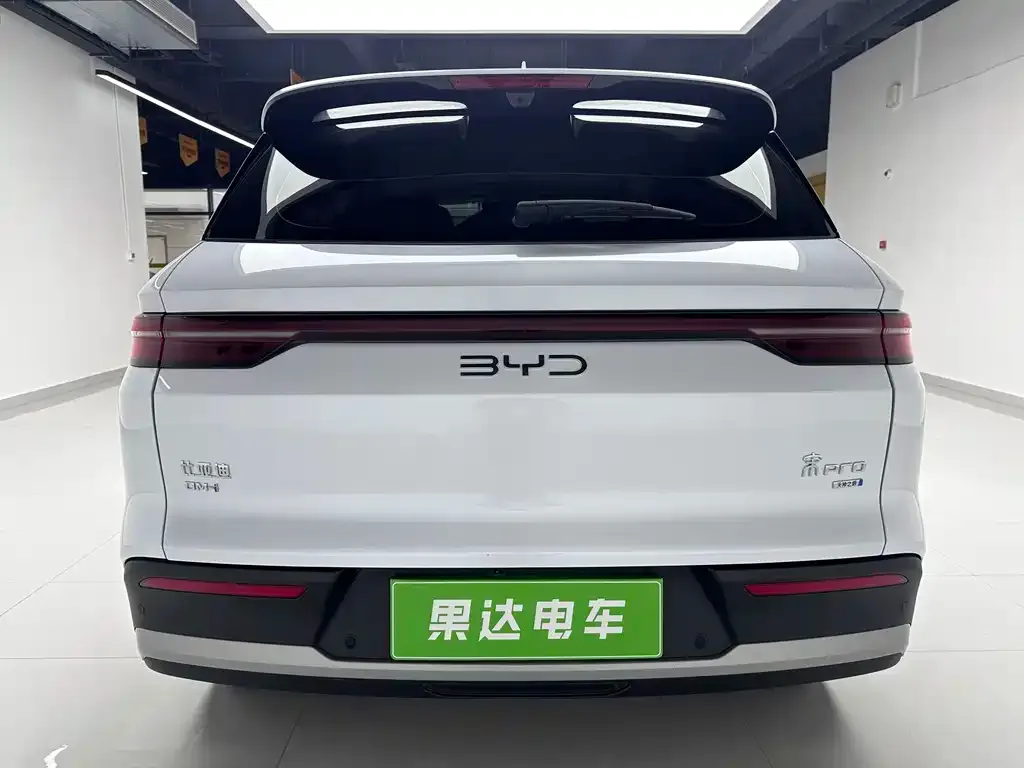 BYD Pro New Energy — фото 6