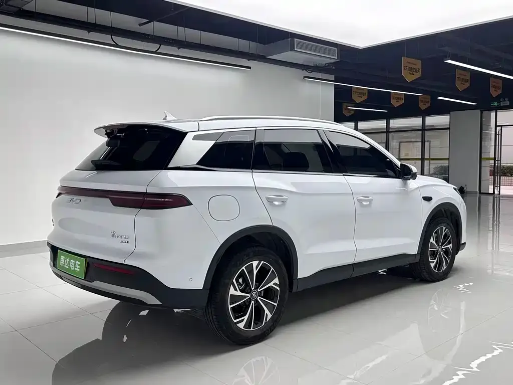 BYD Pro New Energy — фото 10