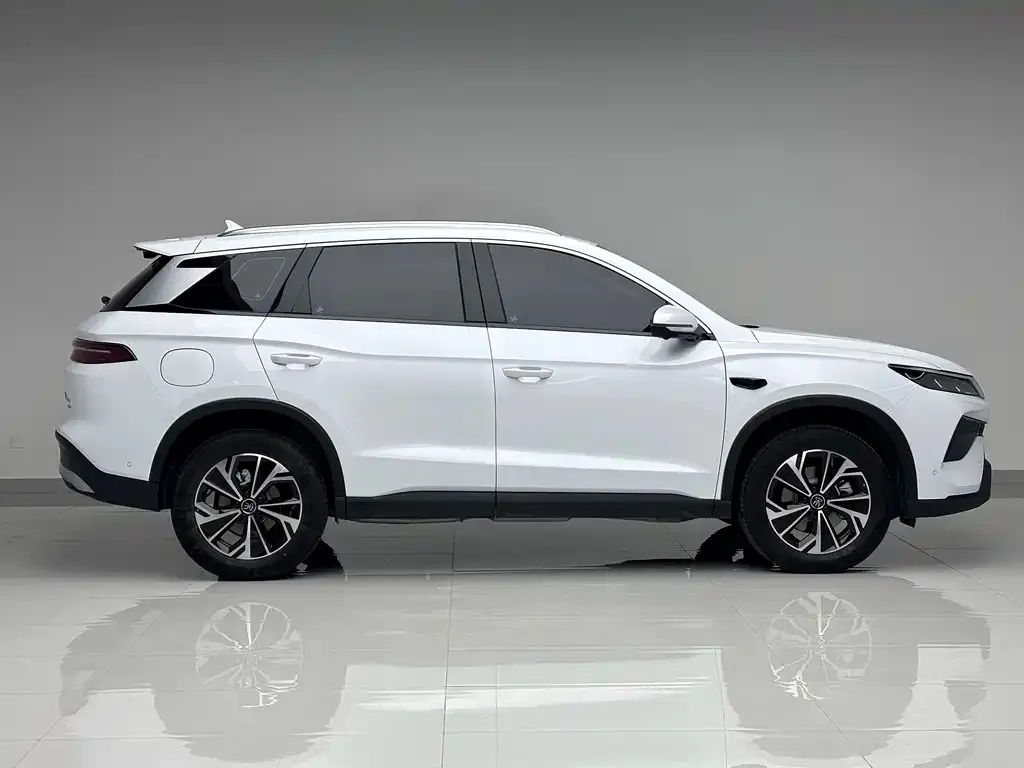 BYD Pro New Energy — фото 3