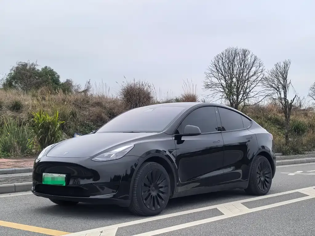 Tesla Model Y — фото 1