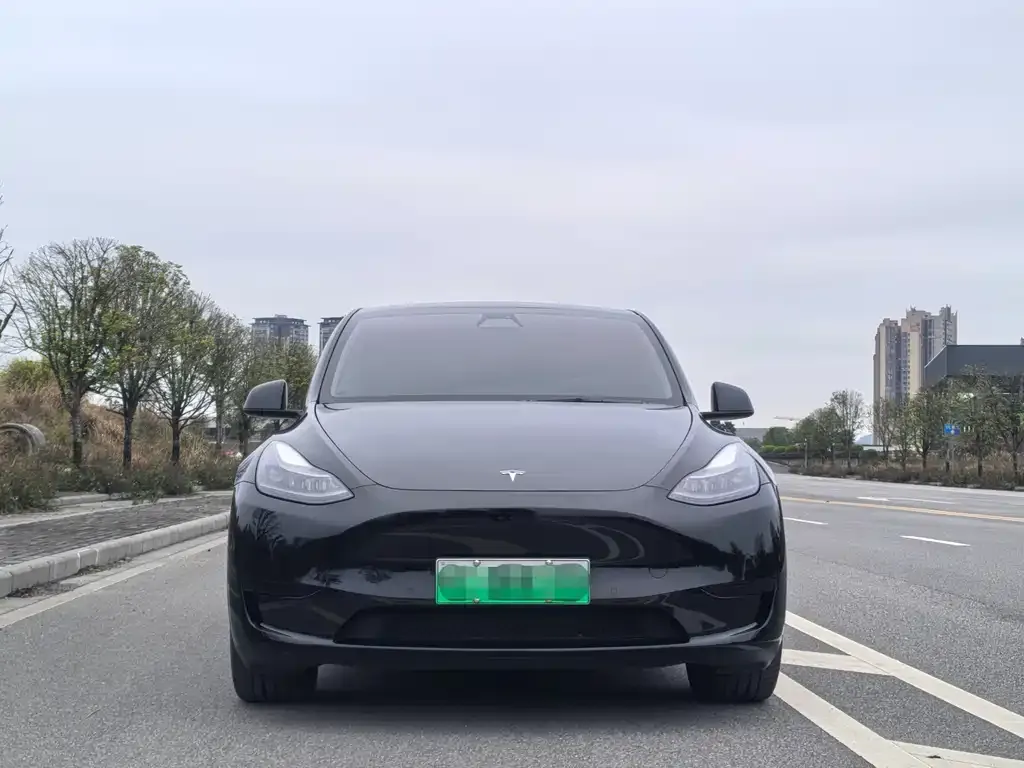 Tesla Model Y — фото 2
