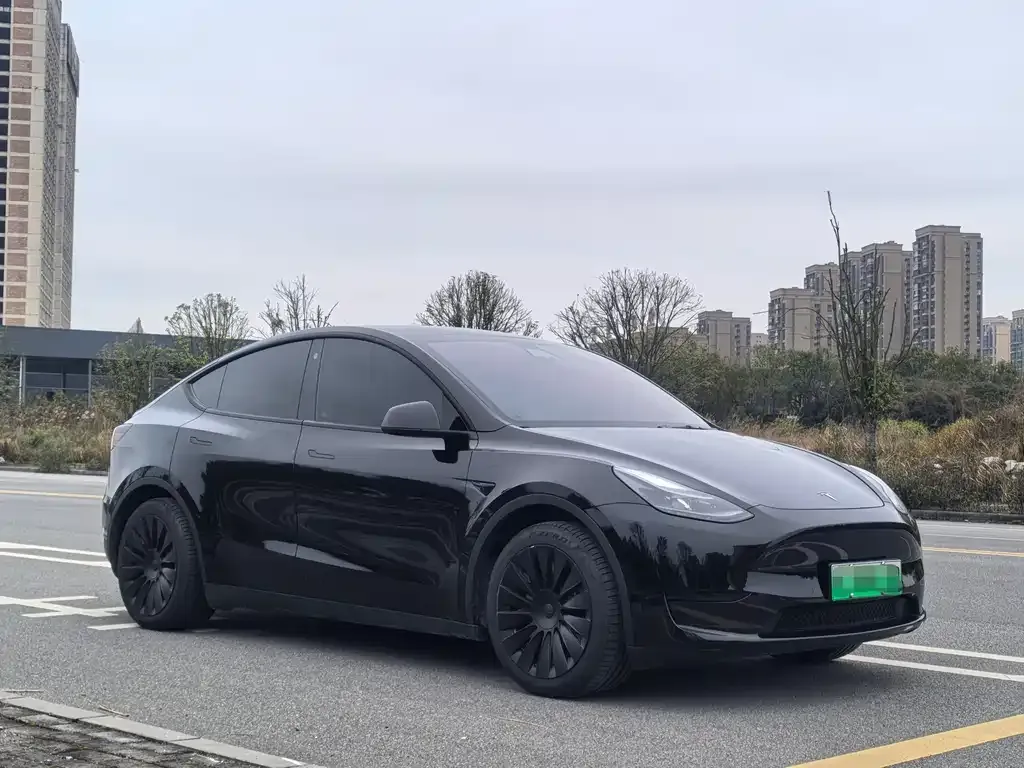 Tesla Model Y — фото 4