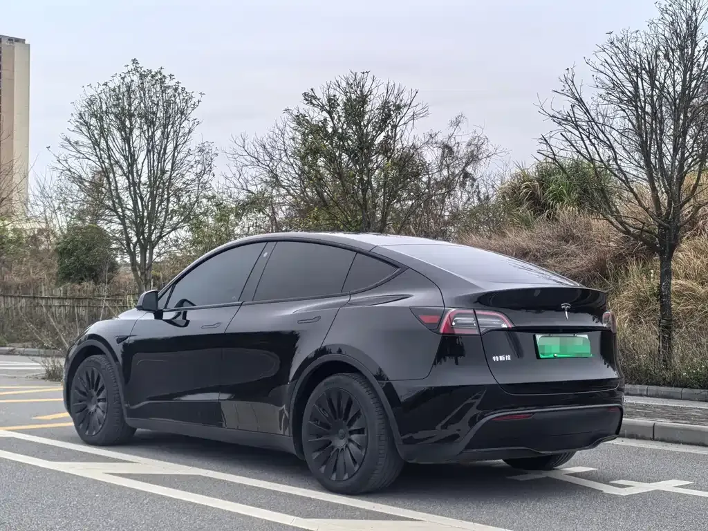 Tesla Model Y — фото 9