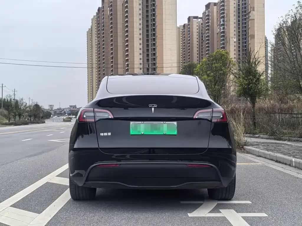 Tesla Model Y — фото 8