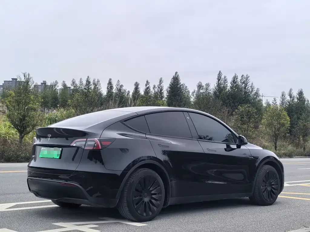 Tesla Model Y — фото 3