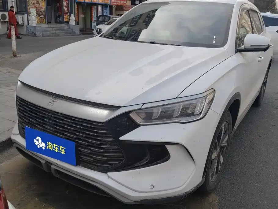 BYD Pro New Energy — фото 1
