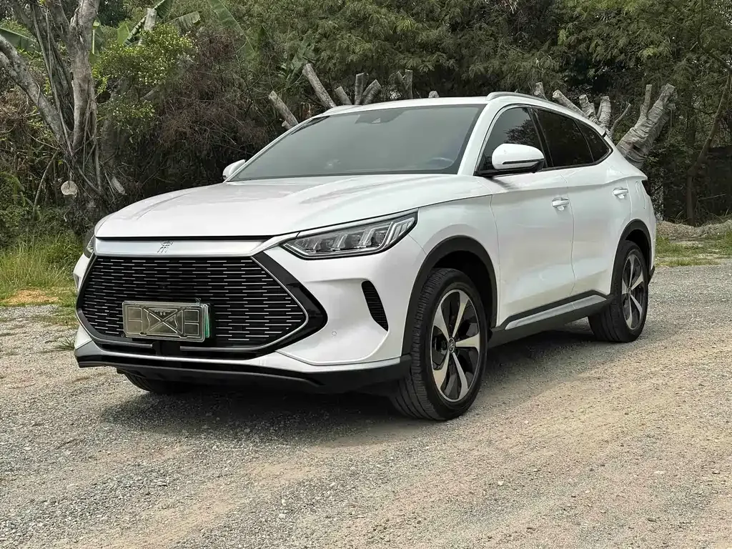 BYD PLUS New Energy — фото 1