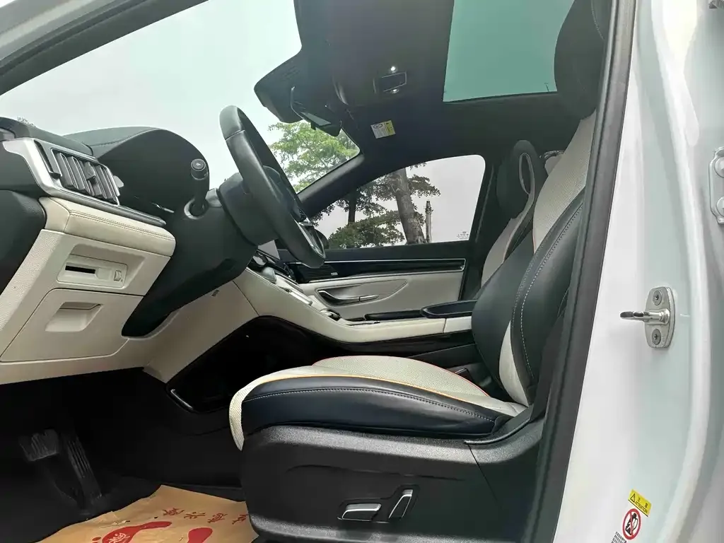 BYD PLUS New Energy — фото 10