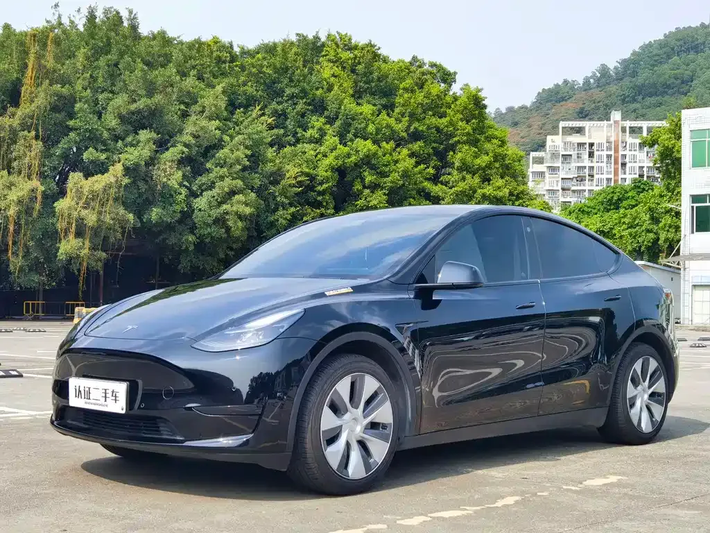 Tesla Model Y — фото 1