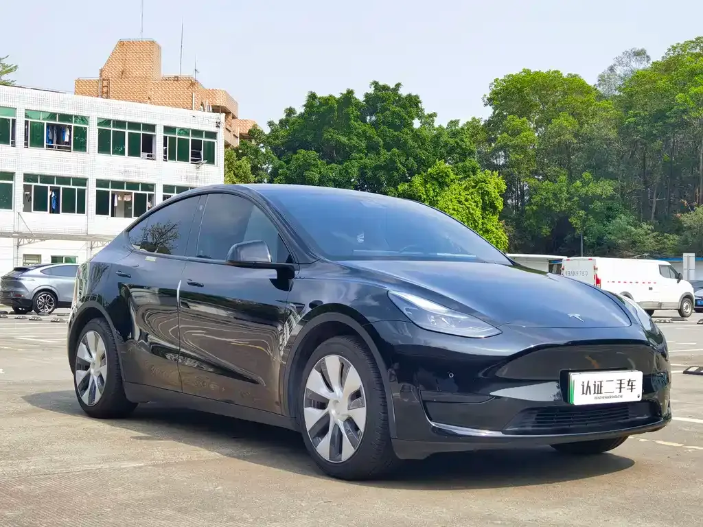 Tesla Model Y — фото 3