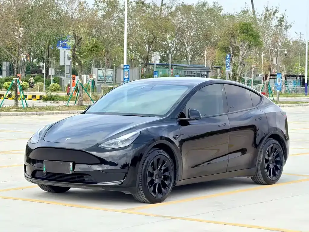 Tesla Model Y — фото 1
