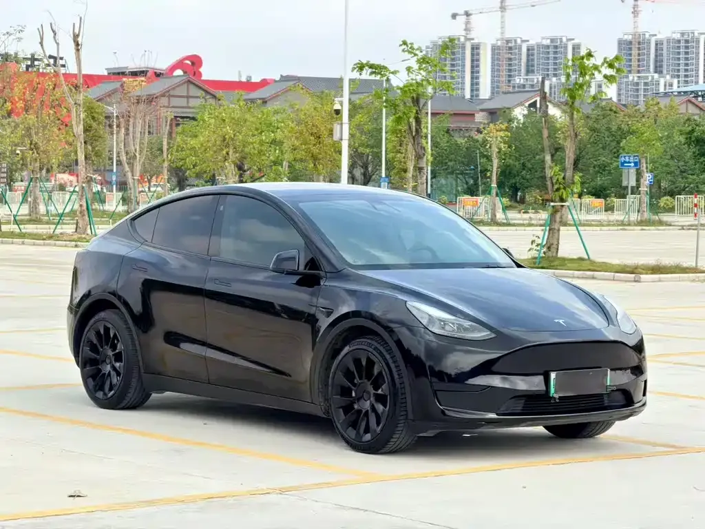 Tesla Model Y — фото 8