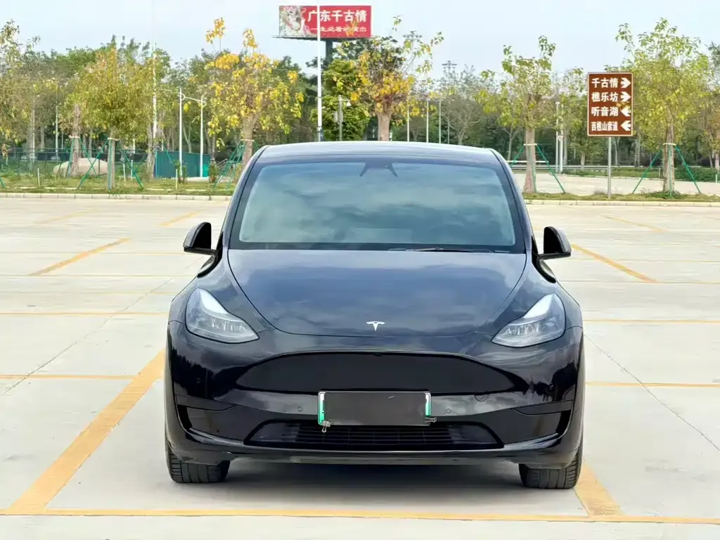 Tesla Model Y — фото 10