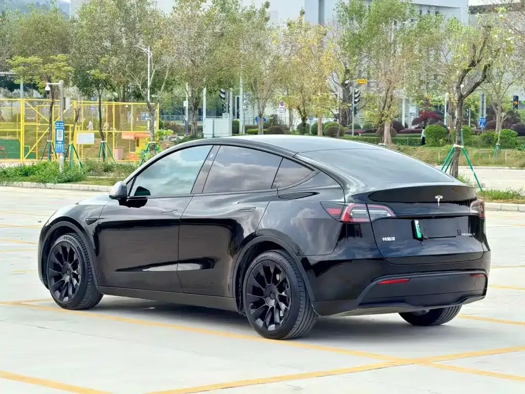 Tesla Model Y — фото 5