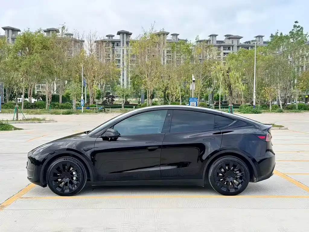 Tesla Model Y — фото 9