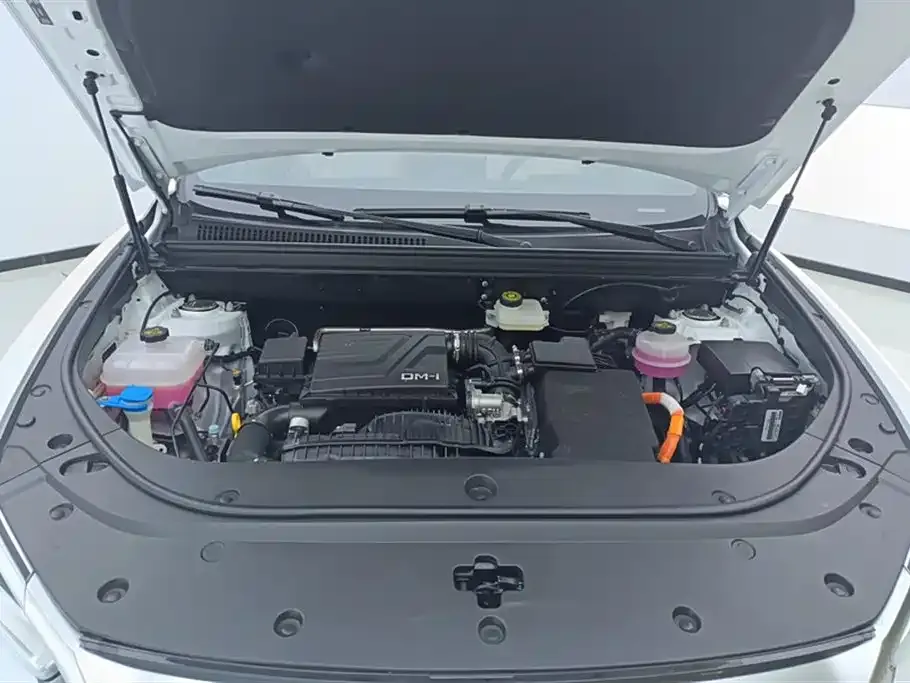 BYD Pro New Energy — фото 2